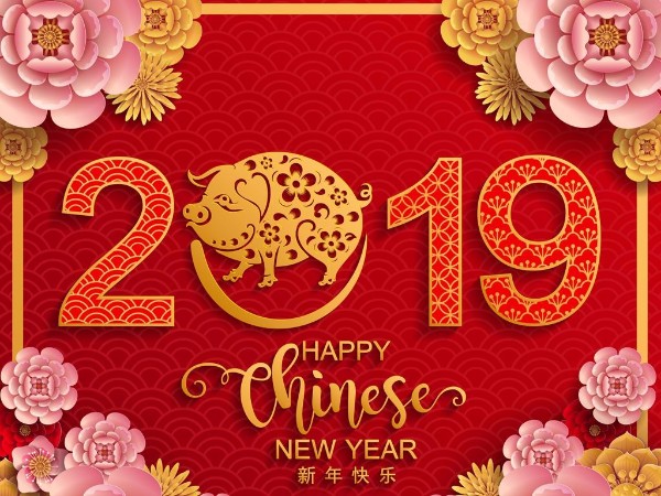 金豬送喜辭舊歲，雙志陪您慶新春！